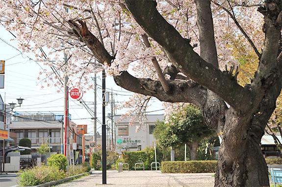アクセス